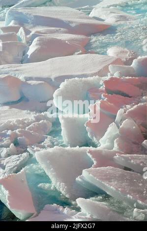 Glace brisée. La glace est poussée à l'écart de la coque du couteau de la Garde côtière Healy . Océan Arctique, septembre (2009) crédit : P.Kelley, USCG Banque D'Images