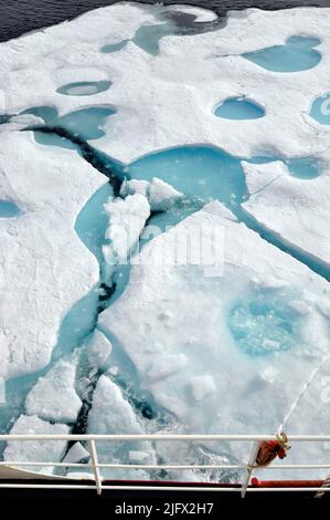 OCÉAN ARCTIQUE - Une banquise de plusieurs années glisse le long du côté tribord du garde-côte Healy alors que le navire se dirige vers le nord dans des glaces encore plus épaisses. « Vous pouvez dire qu'il s'agit d'une banquise de plusieurs années à côté des bassins de fonte bleu clair qui se sont formés au-dessus de la banquise », a déclaré Pablo Clemente-Col—n, scientifique en chef au U.S. National Ice Centre. Océan Arctique, août (2009) crédit : P.Kelley, USCG Banque D'Images