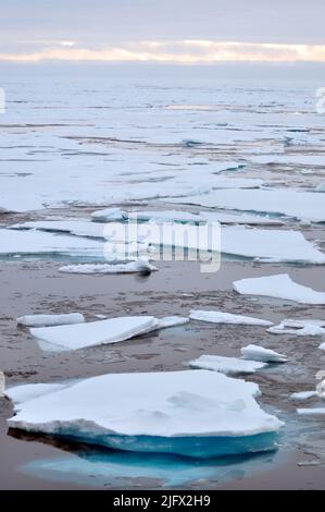 Glace arctique. La glace est poussée à l'écart de la coque du couteau de la Garde côtière Healy. Vue d'un navire d'expédition de l'USGS, océan Arctique, août (2009) crédit: P.Kelley, USCG Banque D'Images