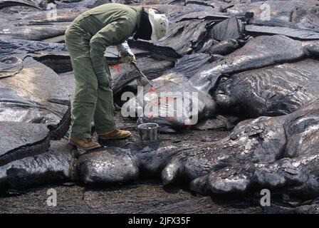 Échantillonnage de lave Ñ les géologues de l'Observatoire du volcan hawaïen (HVO) prennent des échantillons de lave le plus près possible d'une évent. Une fois que l'échantillon est prélevé dans le lobe de la pelle, il est trempé dans l'eau pour arrêter la croissance des cristaux et préserver la composition de la lave liquide. Une fois refroidi, l'échantillon est d'abord envoyé à UH Hilo pour analyse de base avant d'être envoyé pour analyse plus complète par un laboratoire sur le continent. Ces données sont utilisées, avec les données de surveillance géophysique de HVO, comme autre moyen d'évaluer les changements qui pourraient se produire dans le volcan K?lauea. Crédit : USGS Banque D'Images