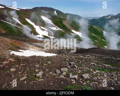 Champ de fumarale à vapeur. La vapeur s'élève à partir de fumaroles de dégazage (au milieu à droite) et d'un bassin bouillant (au milieu à gauche) sur le flanc du volcan Akutan, île d'Akutan, Alaska. Les fumaroles sont des évents d'où le gaz volcanique s'échappe dans l'atmosphère. Ils peuvent se produire le long de petites fissures ou de longues fissures, dans des amas ou des champs chaotiques, et sur les surfaces des coulées de lave et des dépôts épais d'écoulement pyroclastique. Ils peuvent persister pendant des décennies ou des siècles s'ils sont au-dessus d'une source de chaleur persistante ou disparaissent en quelques semaines ou quelques mois s'ils se produisent au sommet d'un gisement volcanique frais qui se refroidit rapidement. Crédit : JL.Lewicki /USGS Banque D'Images