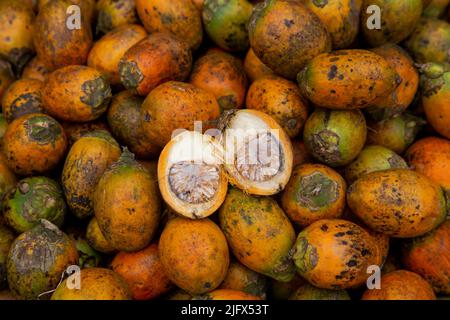 Betelnut à vendre dans la rue du Vieux Dhaka, Bangladesh Banque D'Images