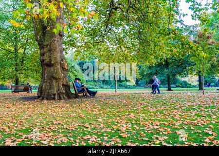 St James's Park est un parc de 23 hectares situé dans la Cité de Westminster, dans le centre de Londres. A été nommé d'après un léper hôpital dédié à St James le moins. Ville Banque D'Images