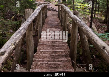 Passerelle en bois au-dessus de Stream in Woods Banque D'Images