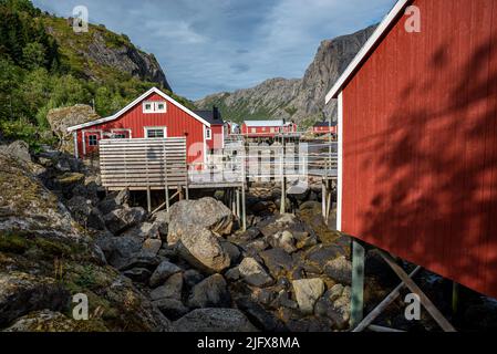 Rorbu des cabanes de pêcheurs rouges, village de Nusfjord, îles Lofoten, Norvège Banque D'Images