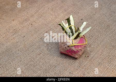 L'arbre Neem branche des pièces sur un fond en jute. Neem tiges utiliser comme ayurveda médecine. La matière première de Neem branche. Banque D'Images