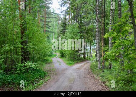 Une fourche dans la route de terre de campagne à travers la forêt à Uukuniemi dans l'est de la Finlande en juin 2022 Banque D'Images