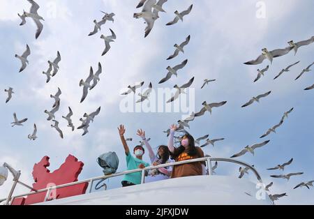 YANTAI, CHINE - 5 JUILLET 2022 - les touristes prennent des photos avec des mouettes sur un bateau de croisière au large de l'île Changdao à Yantai, dans le Shandong de Chine orientale Banque D'Images