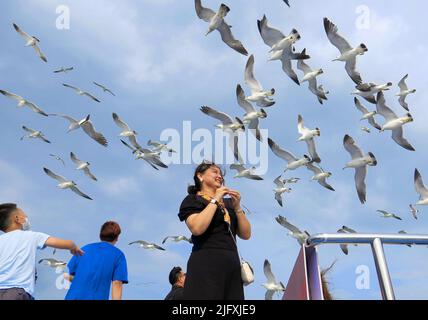 YANTAI, CHINE - 5 JUILLET 2022 - les touristes prennent des photos avec des mouettes sur un bateau de croisière au large de l'île Changdao à Yantai, dans le Shandong de Chine orientale Banque D'Images