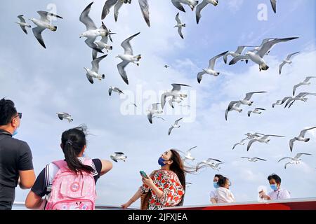 YANTAI, CHINE - 5 JUILLET 2022 - les touristes prennent des photos avec des mouettes sur un bateau de croisière au large de l'île Changdao à Yantai, dans le Shandong de Chine orientale Banque D'Images