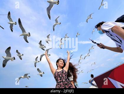 YANTAI, CHINE - 5 JUILLET 2022 - les touristes prennent des photos avec des mouettes sur un bateau de croisière au large de l'île Changdao à Yantai, dans le Shandong de Chine orientale Banque D'Images