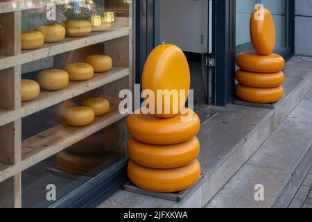 Magasin de fromage Gouda à Amsterdam, pays-Bas Banque D'Images