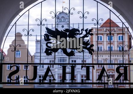 Rostock, Allemagne. 05th juillet 2022. Le lettrage « Hôtel de ville » surplombe l'entrée principale du bâtiment municipal. Le 06.07.2022, la date de l'élection d'un nouveau maire est fixée à une réunion spéciale de la citoyenneté. La nouvelle élection est devenue nécessaire parce que le précédent maire Madsen (non parti) a étonnamment changé pour Schleswig-Holstein comme ministre des Affaires économiques. Credit: Jens Büttner/dpa/Alay Live News Banque D'Images