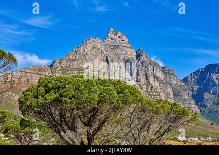 Une vue de dessous de la montagne de la Table - Afrique du Sud. Une belle vue sur la nature d'une haute montagne en forme de lions tête avec des arbres verts Banque D'Images