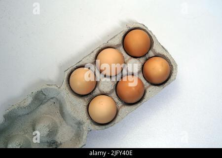 Top-shot de poulet dans une boîte en papier. Un carton d'oeufs avec dix oeufs. Banque D'Images