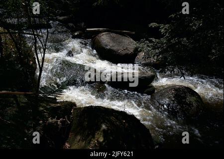La rivière Toorongo est une rivière sauvage de montagne qui traverse les forêts et traverse des cascades, près de Noojee dans le Gippsland, Victoria, Australie. Banque D'Images