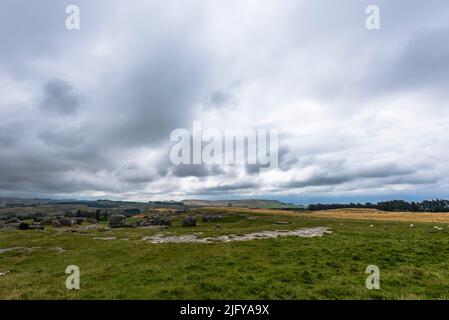 Vue sur le pâturage des moutons dans le champ par une journée nuageuse à Elephant Rocks, Île du Sud, Nouvelle-Zélande Banque D'Images