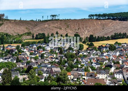 Zone forestière dégagée au nord du village d'Oeventrop, district d'Arnsberg, des peuplements morts d'épinette ont été abattus, des arbres morts en raison de l'infestation par le dendroctone de l'écorce Banque D'Images