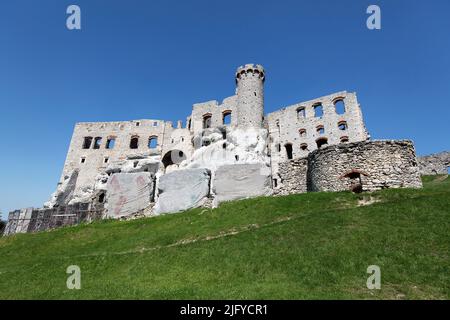 Ruines du château d'Ogrodzieniec en Pologne Banque D'Images