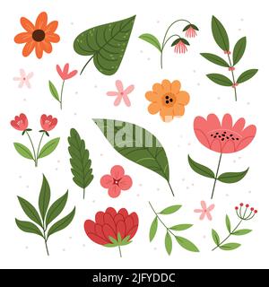 Ensemble de fleurs d'été et de feuilles tropicales. L'été. Plantes exotiques. Style mignon. Illustration de Vecteur