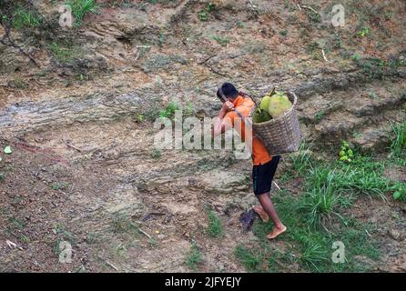 Le jackfruit est porté sur la tête.cette photo a été prise de Rangamati, Chittagong, Bangladesh. Banque D'Images