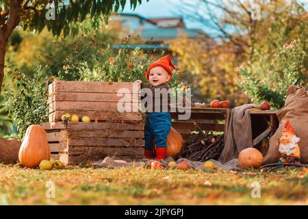 Un tout-petit souriant en costume de nain joue dans la cuisine-jardin. Boîtes en bois et citrouilles à l'arrière-plan. Concept Halloween. Banque D'Images