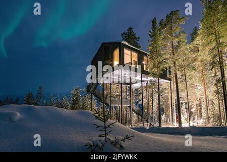 Aurora Borealis (aurores boréales) au-dessus du chalet en bois situé parmi les arbres dans la neige, Tree Hotel, Harads, Laponie, Suède, Scandinavie, Europe Banque D'Images