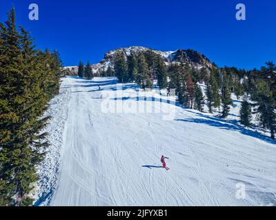 Ski-ing, Mammoth Mountain, Californie, États-Unis d'Amérique, Amérique du Nord Banque D'Images