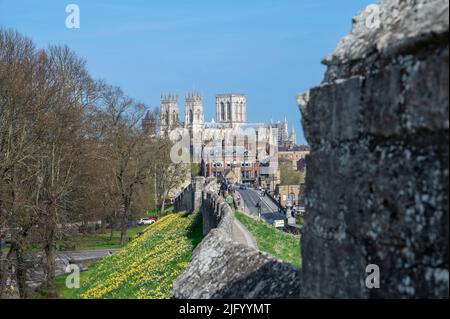 York Minster, Lendal Bridge avec City Walls au printemps, York, North Yorkshire, Angleterre, Royaume-Uni, Europe Banque D'Images