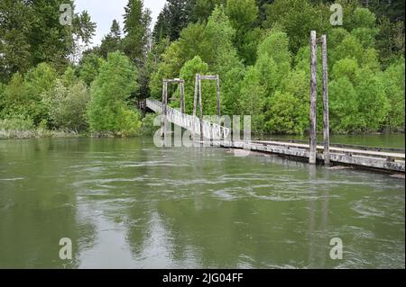 Une jetée en bateau reliée à l'île Pierce sur la rivière Columbia. Banque D'Images