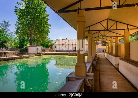 L'ancienne lavoir, sur la rivière, dans le village médiéval de Bevagna. Ombrie, Italie, Pérouse. Le ciel bleu, les arbres et la végétation. Algues vertes sur t Banque D'Images