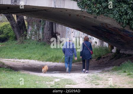 Couple d'âge moyen marchant avec leur petit chien sur une route de campagne sous un pont de maçonnerie. Banque D'Images