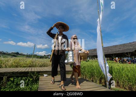 Les agriculteurs se promènent au milieu des rizières, ville de Bogor, Indonésie, 5 juillet 2022, promouvoir les rizières comme zone touristique Banque D'Images