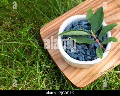 Chèvrefeuille mûr dans le bol en céramique blanc sur l'herbe. Petit déjeuner plein de vitamines à l'extérieur. Concept de superalimentation, en-cas sain Banque D'Images