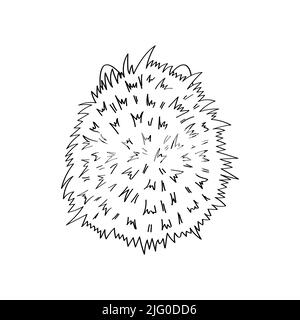 Jolie illustration en noir et blanc Clipart Hedgehog de style dessin animé. Clip de dessin animé Art hérisson pour coloriage page. Illustration vectorielle d'une forêt Illustration de Vecteur