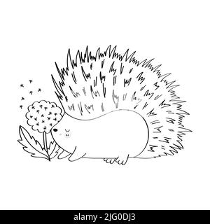 Clipart Hedgehog coloriage page en style dessin animé. Mignon clip Art hérisson noir et blanc. Illustration vectorielle d'un animal forestier pour autocollants, bébé Illustration de Vecteur