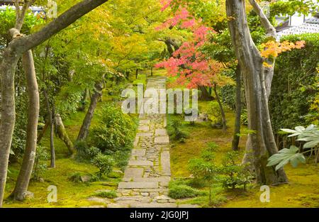 L'enceinte pittoresque du temple Ryoan-ji en automne, Kyoto JP Banque D'Images