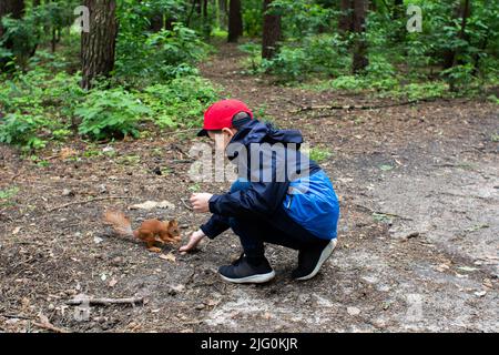 un garçon nourrissant un écureuil dans la forêt Banque D'Images