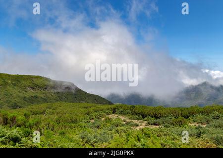 MADÈRE, PORTUGAL - 23 AOÛT 2021 : vue générale de la réserve naturelle de Rabasal sur le plateau supérieur de Paul da Serra. Banque D'Images