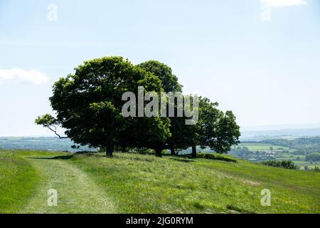 Vue sur les arbres et la campagne depuis le sentier national de Cotswold Way à Dyrham England Banque D'Images