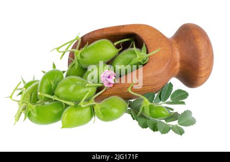 Pois chiches verts en cuillère en bois, isolés sur fond blanc. Pois chiches iIn la gousse avec des feuilles et des fleurs vertes. Cicer arietinum. Masque Banque D'Images