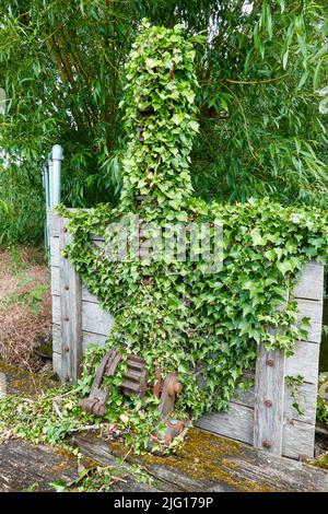 Ivy croissant au-dessus d'une porte de verrouillage de rivière en bois et engrenage de bobinage en métal Banque D'Images