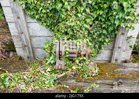 Ivy croissant au-dessus d'une porte de verrouillage de rivière en bois et engrenage de bobinage en métal Banque D'Images