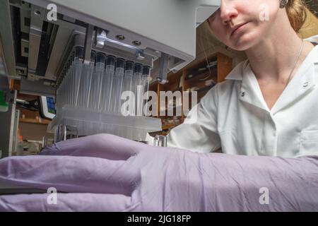 Une scientifique féminine de l'université de Californie à Berkeley travaille en laboratoire à l'aide d'équipements de laboratoire. Banque D'Images