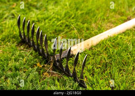 un râteau de jardin en métal doté d'une poignée en bois repose sur une pelouse verte Banque D'Images