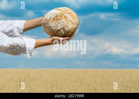 Mains de femmes tenant le pain cuit maison pain au-dessus d'un ciel bleu d'été dans un champ de blé. Concept de sécurité alimentaire mondiale. Banque D'Images