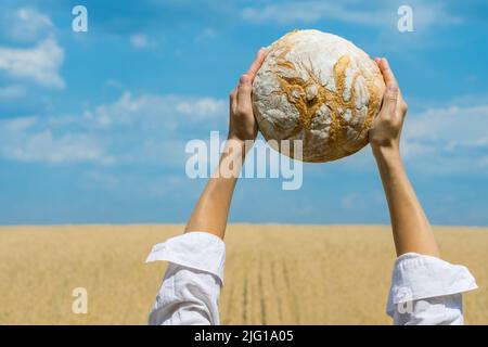 Des mains de femmes tenant un pain cuit maison au-dessus de sa tête sur un ciel bleu d'été dans un champ de blé. Concept de sécurité alimentaire mondiale. Banque D'Images