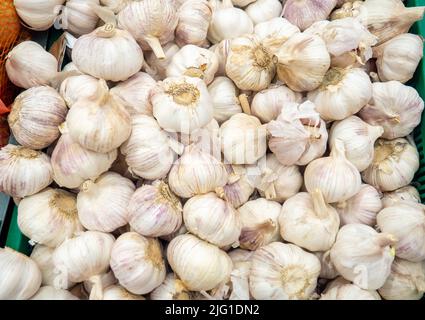 Magasin de légumes. Des aliments sains. Ail sur le comptoir. Vitrine de légumes. Vente. Produits contenant de la vitamine Banque D'Images