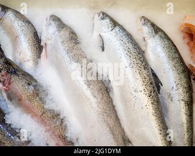 Magasin de poisson. Vente de truite refroidie sur le comptoir. Poisson dans la glace. Une alimentation saine. Produits à base de viande Banque D'Images