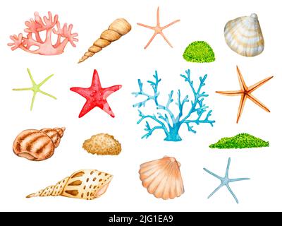 Grand ensemble de mer, océan, aquarium, éléments d'aquarelle marine. Coquillages, coraux, étoiles de mer, algues. Collection de clipart isolée sur fond blanc. Banque D'Images